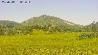 area3-20250713062057.jpg