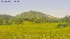 area3-20250713064056.jpg