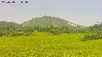 area3-20250713081058.jpg