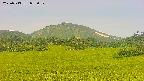 area3-20250713082059.jpg