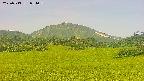 area3-20250713084100.jpg