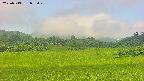 area3-20250713095050.jpg