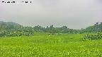 area3-20250713114057.jpg