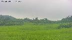 area3-20250713115049.jpg