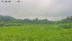area3-20250713121052.jpg