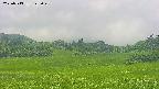 area3-20250713122050.jpg