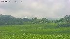 area3-20250713123108.jpg