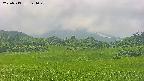 area3-20250713124051.jpg