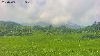 area3-20250713130050.jpg