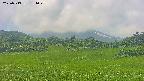 area3-20250713131049.jpg