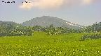 area3-20250713140049.jpg