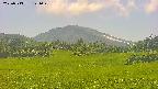 area3-20250713141050.jpg