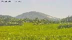 area3-20250713143052.jpg