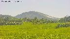 area3-20250713144055.jpg
