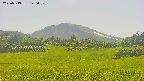 area3-20250713145055.jpg
