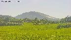 area3-20250713150056.jpg