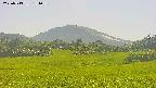 area3-20250713151058.jpg