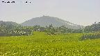 area3-20250713152100.jpg