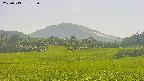 area3-20250713153056.jpg