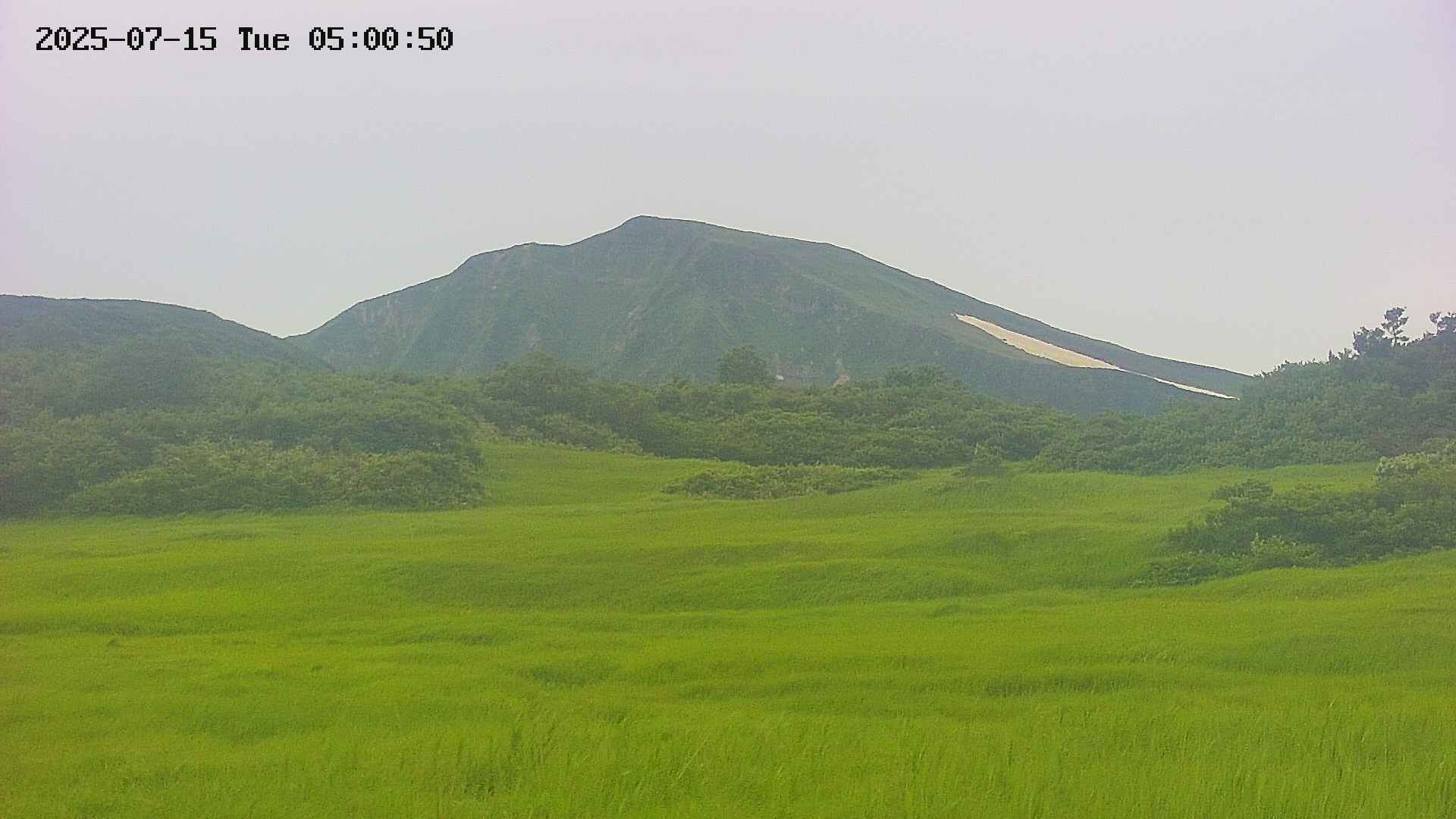 area3-20250715050050.jpg