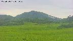 area3-20250715052047.jpg