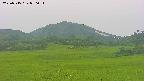 area3-20250715070051.jpg