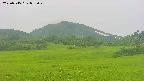 area3-20250715072050.jpg