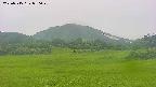 area3-20250715080049.jpg