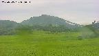 area3-20250715081051.jpg