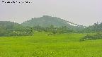 area3-20250715120047.jpg