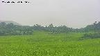 area3-20250716050049.jpg