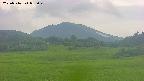 area3-20250716055050.jpg