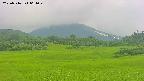 area3-20250716061049.jpg