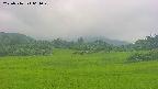 area3-20250716064050.jpg