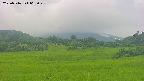 area3-20250716065049.jpg