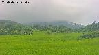 area3-20250716071048.jpg
