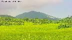 area3-20250716081050.jpg