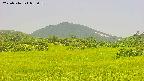 area3-20250716085057.jpg