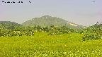 area3-20250716093107.jpg