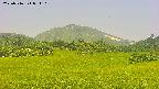 area3-20250716094113.jpg