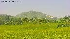 area3-20250716100107.jpg