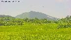 area3-20250716115057.jpg