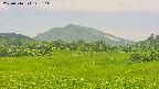 area3-20250716122106.jpg