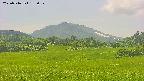 area3-20250716132054.jpg
