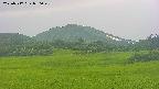 area3-20250717050049.jpg