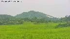 area3-20250717051051.jpg