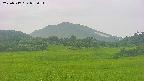 area3-20250717052053.jpg