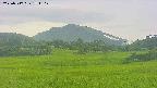 area3-20250717171103.jpg