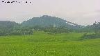 area3-20250717173054.jpg