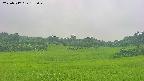 area3-20250717175051.jpg